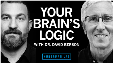 Your Brains Logic and Function