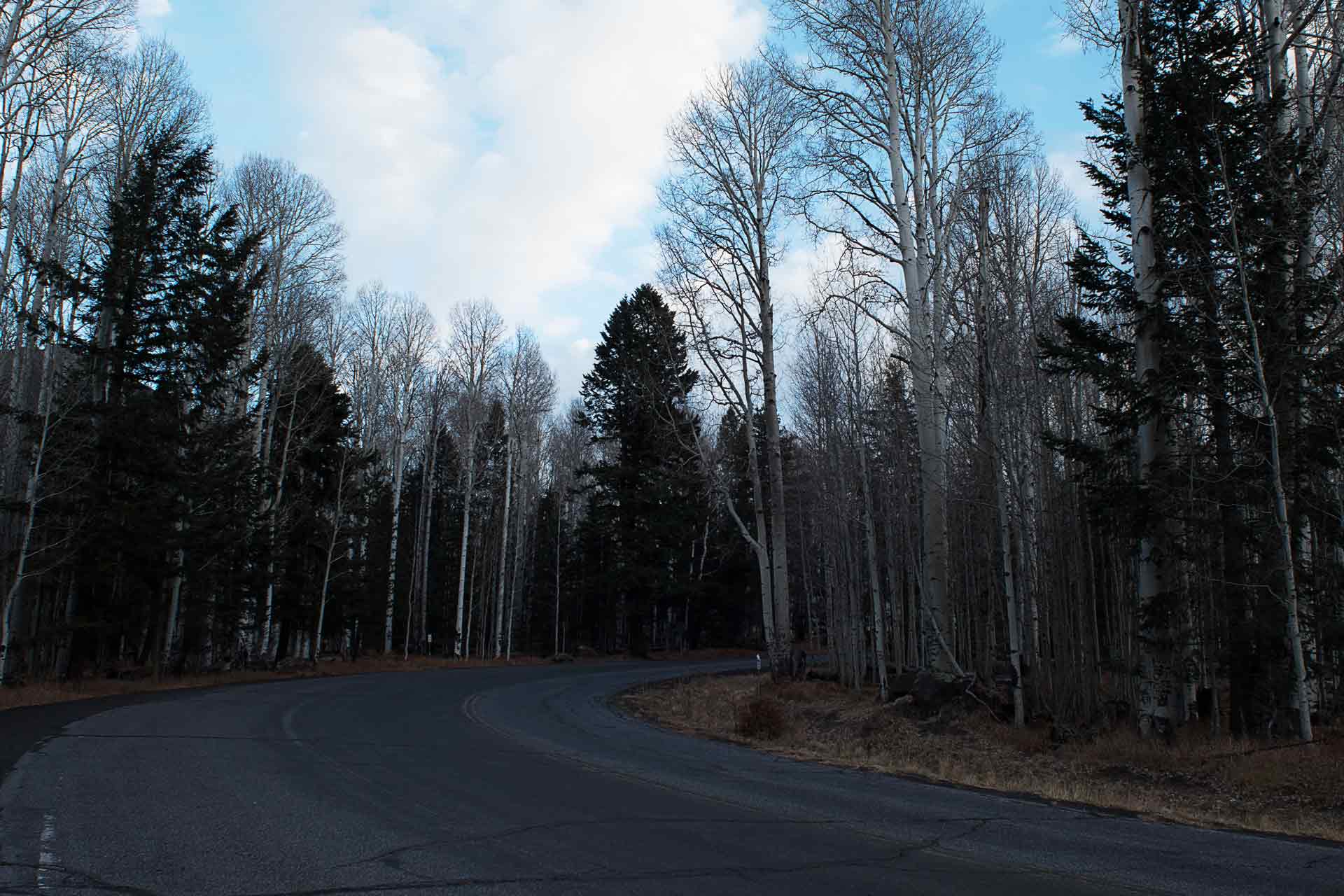 ROKA Custom Matador (Custom) -ROKA Sports Inc Store TTL GROUP 3 CLEAR