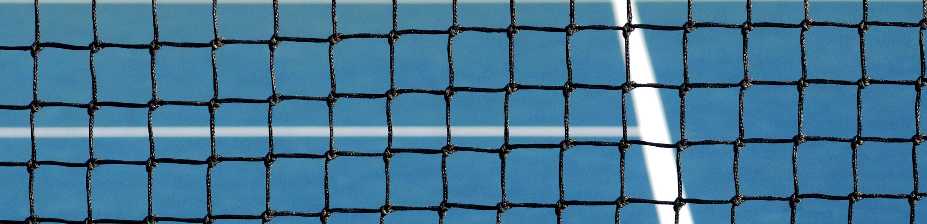 Pickleball net