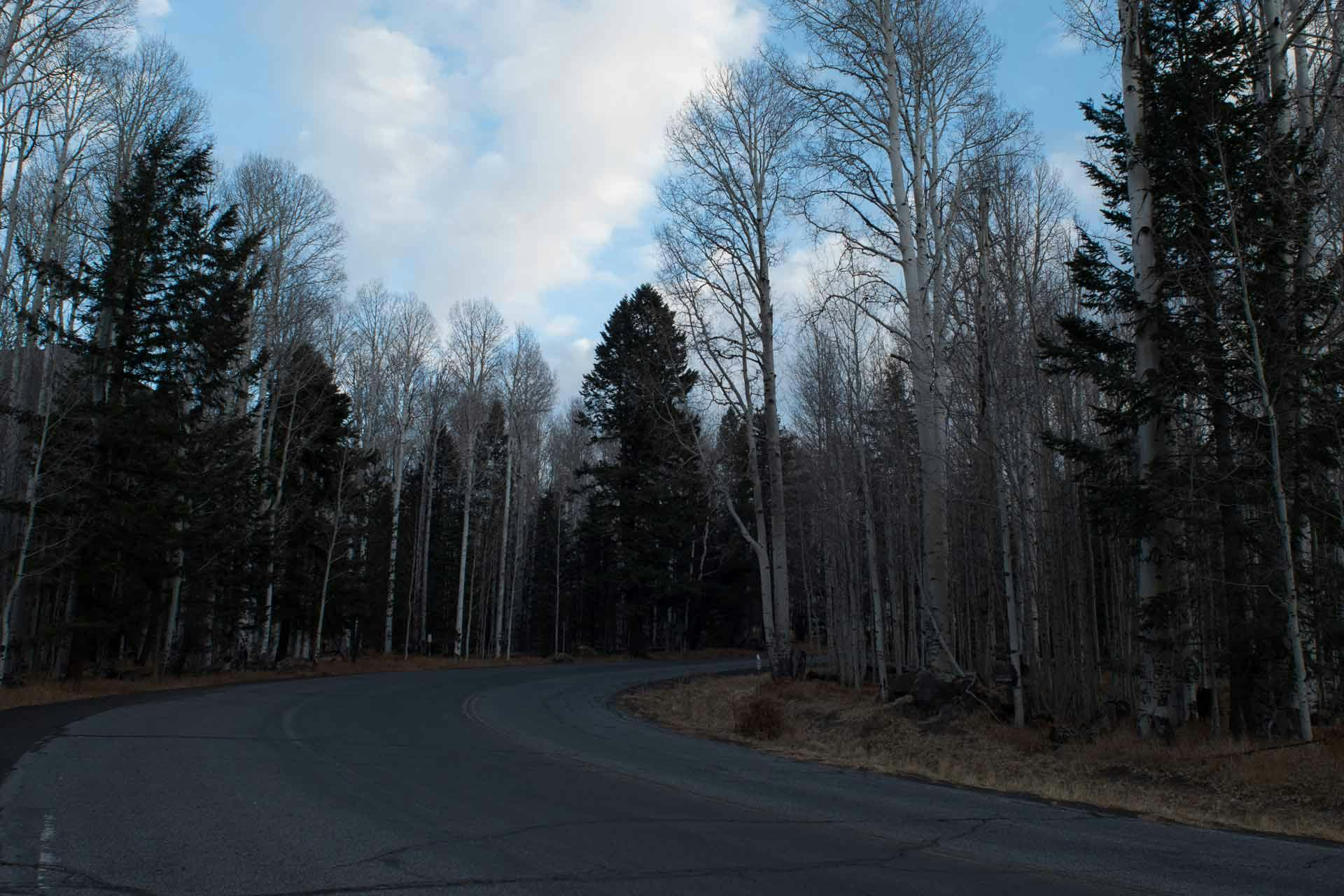 Scene without lens
