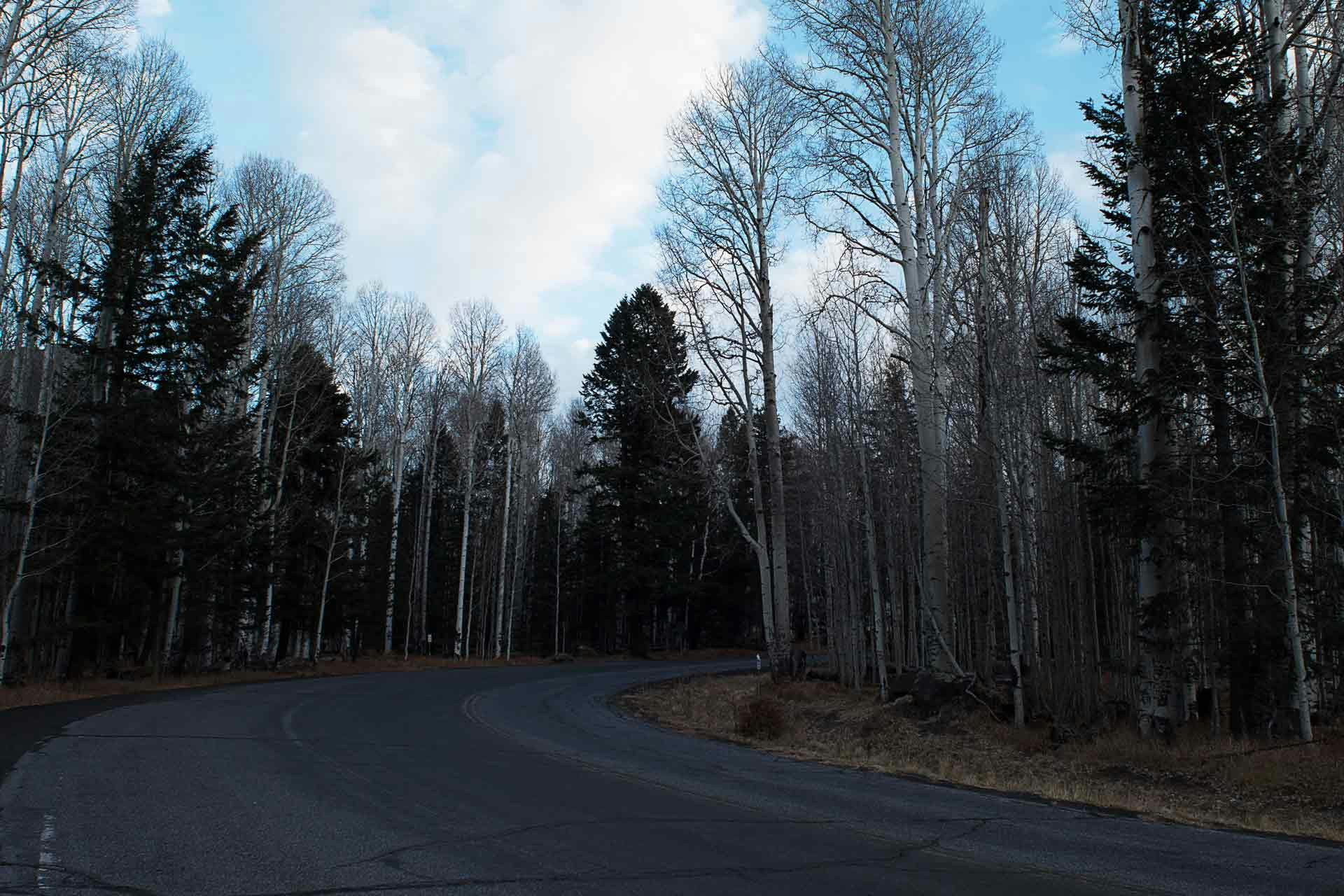 Scene with Clear lens