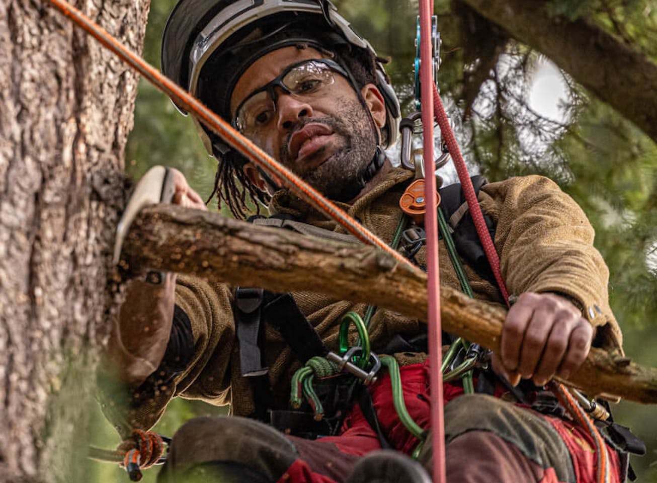 Man climbing tree with ropes and TL-1 sunglasses