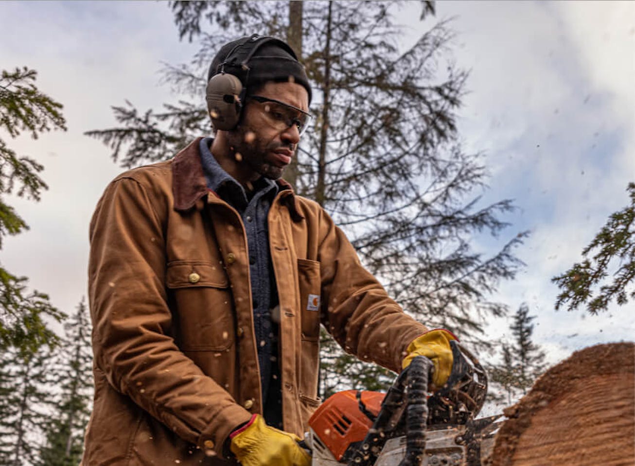 Man using chainsaw to cut tree