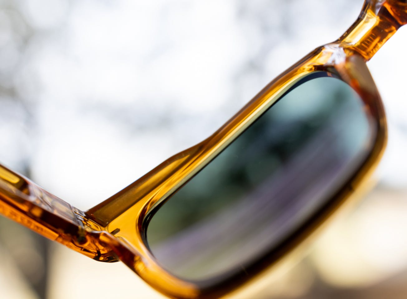 Lockhart Sunglasses